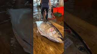 Epic Tuna Cutting Skills Master Slices a Giant Bluefin Tuna Like a Pro bluefintuna fish [upl. by Lozar]