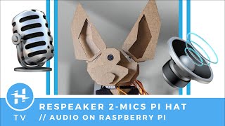 Audio InOut with ReSpeaker 2Mics Pi HAT [upl. by Eeneg103]