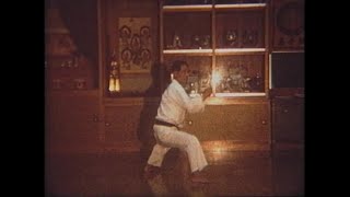 Dynamic and Powerful 2 Person Prearranged Sparing Sanseiryu kata By Master Seiyu Shinjo 1976 [upl. by Hgielanna]