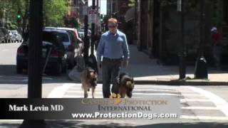 Protection Dogs by CPI Mark Levin MD quotTrajanquot amp quotQuintusquot [upl. by Llimaj]