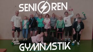 Seniorengymnastik mit Overball [upl. by Spracklen350]