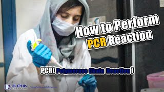 Performing PCR Polymerase Chain Reaction Tutorial  Alpha Genomics [upl. by Shue235]