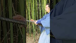 Zatoichi Flash Cut samurai clips martialarts shorts edit sword japanesemartialarts short [upl. by Anaher]