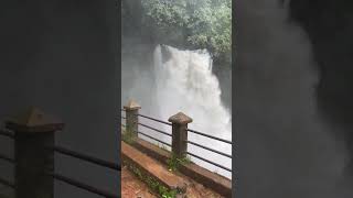 Harvalem Waterfalls Goa  Rainy Season Time  goa waterfall peace shortvideo trend [upl. by Lourdes]