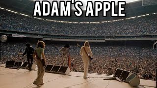 Aerosmith  Adams Apple  Pontiac Silverdome 1976 [upl. by Armando]