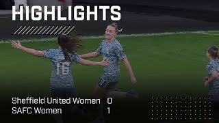 Dale Scores Again  Sheffield Utd Women 0  1 SAFC Women  Barclays Womens Championship Highlights [upl. by Tengdin]