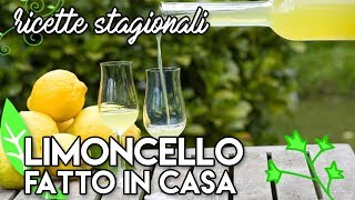 LIMONCELLO fatto in casa ricetta sicilianaricetteflash [upl. by Jorin488]