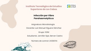 Exposición Infección por Vibrio Parahaemolyticus [upl. by Balthazar]