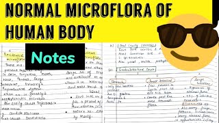 Normal Microflora of Human BodyTypes example Notes 😎😎 [upl. by Lorenzana269]