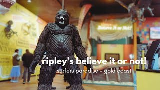 Visiting the RIPLEYS BELIEVE IT OR NOT  Surfers Paradise  The Gold Coast [upl. by Nnaesor]