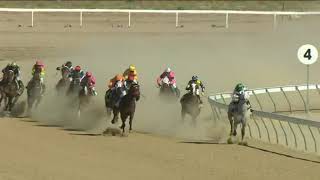 2024 Birdsville Cup [upl. by Carthy]