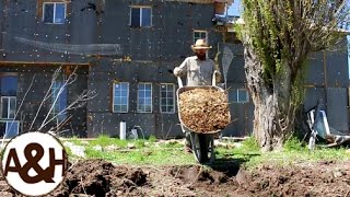 Modified BERMS and SWALES in the veggie garden [upl. by Synn]