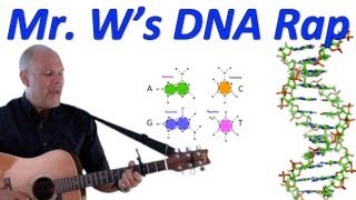 DNA Fantastic Mr Ws DNA Rap [upl. by Joung]