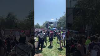 Protesters gather outside Democratic National Convention in Chicago [upl. by Aileduab]