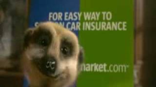 New Compare The Meerkat Advert [upl. by Aeel99]