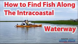 HOW TO FIND FISH ON THE INTRACOASTAL WATER WAY  TOPWATER CHARTERS Puts On A Great Clinic [upl. by Dolph78]