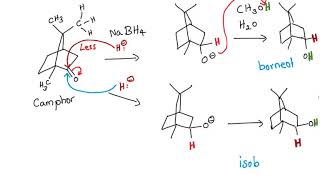 Reduction of Camphor Prelab Video [upl. by Haldis]