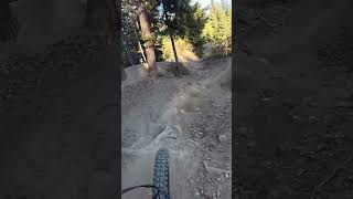 Wexl Trails mtb emtb emtb50 downhill [upl. by Kahlil151]