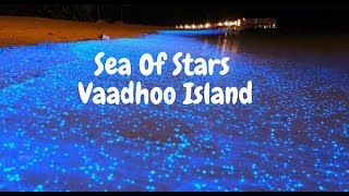 SeaOfStars Vaadhoo Island GlowingWater Sea Of Stars Vaadhoo Island Maldives [upl. by Enyale875]