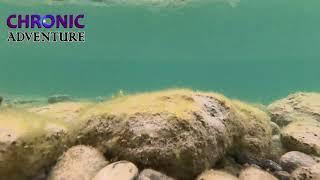 hike Kalamalka Lake  Oyama BC Canada underwater views nature relaxing calming meditative [upl. by Lamar]