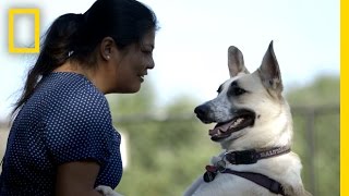 Whatever Happened to the Rescued Sochi Ten  National Geographic [upl. by Eirek]