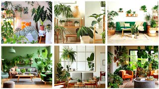 Interior Indoor Plants Decoration Designs  Decorate amp Level Up Your Home  Home Decoration Place [upl. by Amek70]