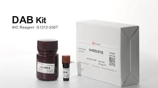 DAB Chromogenic Kit for Immunohistochemistry in Situ Hybridization Western Color Reagent G1212200T [upl. by Sommer847]