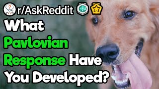 What Pavlovian Response Have You Developed rAskReddit [upl. by Namref]