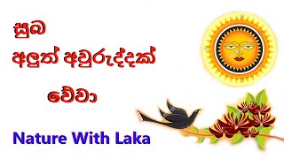 Happy new year  ලැබු ආ වූ සිංහල දෙමළ අලුත් අවුරුදු සුබ පැතුම් 2024 [upl. by Agnesse]