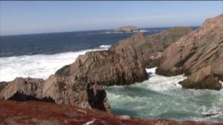 Bonavista community profile College of the North Atlantic [upl. by Anomer]