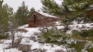 Start to Finish Full Video Dugout Shelter in 6 Days Solo Survival Bushcraft Winter Camping [upl. by Rivard869]