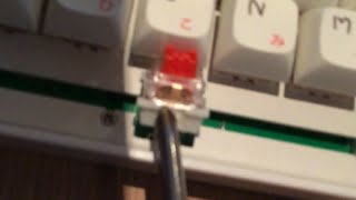 How to take your mechanical keyboard switches out of your keyboard without a switch puller [upl. by Shepard]