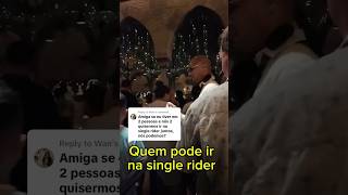 QUEM PODE IR NA SINGLE RIDER [upl. by Ecnerewal224]