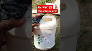 Use of phosphoric acid in ur field gaow sugarcane farming [upl. by Gilligan640]