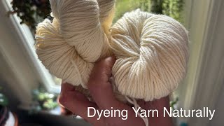 Dyeing Yarn Naturally [upl. by Mariellen503]