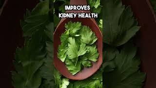 Discover the Incredible Health Benefits of Parsley healthyfood [upl. by Aloz496]