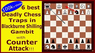 Blackburne Shilling Gambit New Variation with Counter Attack Chess Tutor [upl. by Eimirej]