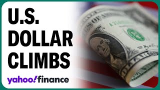 US dollar surges on Donald Trumps 2024 election win [upl. by Atsira]