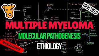 MULTIPLE MYELOMA Etiology Molecular Pathogenesis MGUS and Smoldering myeloma diagnostic criteria [upl. by Bracci798]