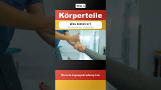 🇩🇪 Körperteile 2130  Deutsch lernen mit Fragen  Deutsch für Anfänger deutschlernen shorts [upl. by Nnywg]