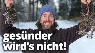 Die gesündeste Pflanze Deutschlands Wie du die Brennnessel auch im Winter nutzt [upl. by Kabab995]