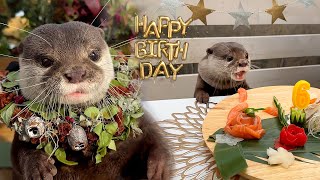 カワウソの誕生日にフレンチビストロへ連れて行ったら最高すぎた Otter Kotaro Has Sweet 6th Birthday Party at French Bistro [upl. by Aldredge]