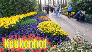 Keukenhof  The most beautiful spring garden in the world  2023 part 3 [upl. by Izaak]