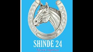 SHINDE24 II MUMBAI INDIAN DERBY RACE TIPS 4TH FEBRUARY 2024 [upl. by Dolli]