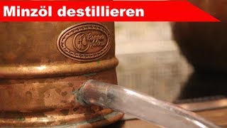 🌷 Minze destillieren 🌻  ätherisches Öl selber machen  diSTILLed [upl. by Nuajed537]