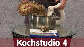 Reptil TV  Folge 108  Kochstudio 4  Allele [upl. by Iegres]