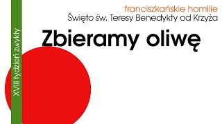 Zbieramy oliwę 9 VIII 2024 [upl. by Ahsimaj498]