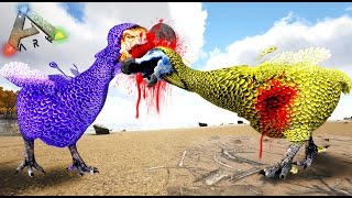 DODOS GLADIADORES XD EL MERCADO ILEGAL  ARK MAPACHES DEL CARIBE 23  NexxuzWorld [upl. by Eiraminot]