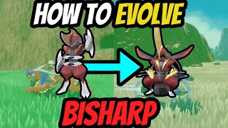 How to Evolve Bisharp in to Kings Gambit [upl. by Sadirah]