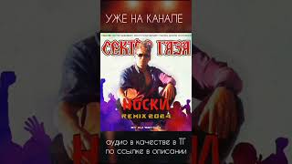 Сектор Газа  Носки Remix by DJ SEKTOR 2024 [upl. by Hueston]